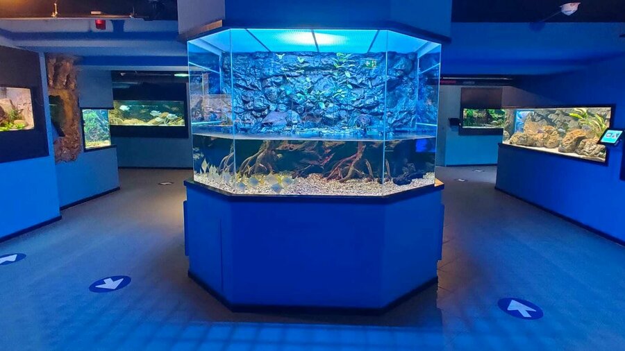 Ontdek het waterleven bij Aqua Zoo Leerdam Bestel tickets